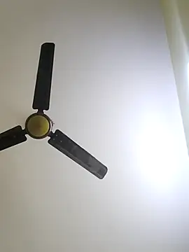 Snapshot of trinasa chatting on 12, 1, 2026 trinasa online show from 12, 1, 2026