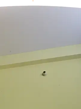 Snapshot of trinasa chatting on 8, 4, 2026 trinasa online show from 8, 4, 2026