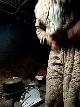 yu--yo online show from 12, 3, 2026