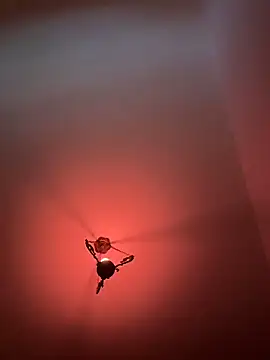 Snapshot of witchdub chatting on 18, 2, 2026 witchdub online show from 18, 2, 2026