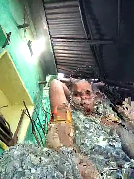 Reena lodha online show from 11, 4, 2026