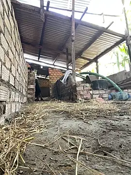 Ginny 2x online show from 20, 2, 2026