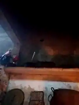 cdyyds-69 online show from 28, 2, 2026