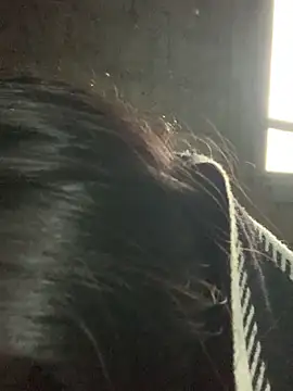 Naalyy online show from 13, 3, 2026