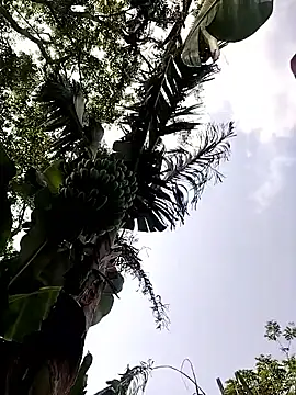 leona118 online show from 11, 4, 2026