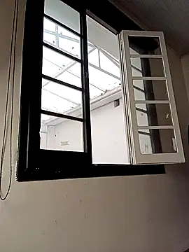 Dante Knox online show from 6, 3, 2026