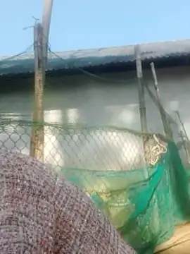 jjennyyy online show from 12, 1, 2026