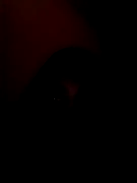 Snapshot of arushi_bb chatting on 15, 1, 2026 arushi bb online show from 15, 1, 2026