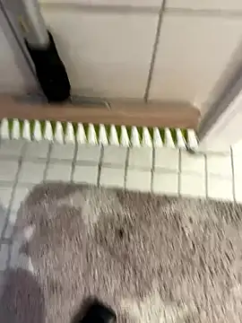 Snapshot of Hamsterdich chatting on 18, 1, 2026 Hamsterdich online show from 18, 1, 2026