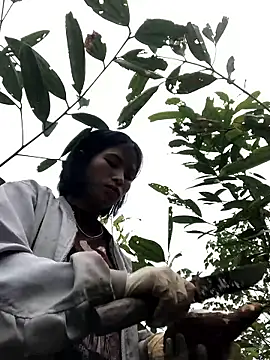 sun-shii online show from 14, 1, 2026