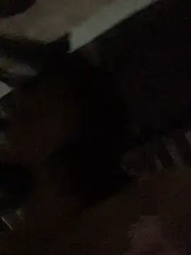 sun-shii online show from 10, 4, 2026