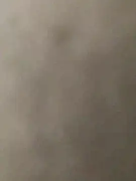 Snapshot of KGF786 chatting on 12, 2, 2026 KGF786 online show from 12, 2, 2026