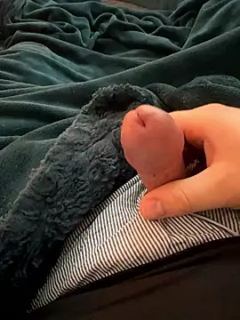 BadBear 17 online show from 14, 1, 2026