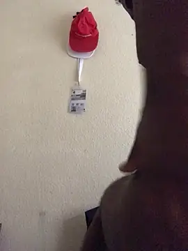 Snapshot of Sirbemine chatting on 24, 4, 2026 Sirbemine online show from 24, 4, 2026