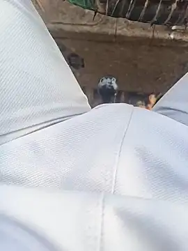 Hot BoyDick-Telugu online show from 15, 1, 2026