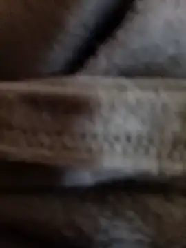 Snapshot of Daisy91 chatting on 14, 1, 2026 Daisy91 online show from 14, 1, 2026