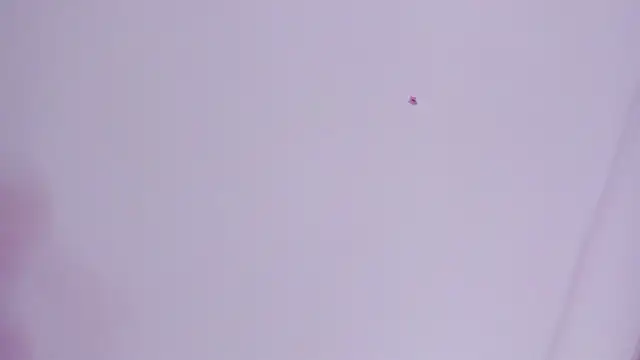 Snapshot of lovely__kiss__ chatting on 26, 3, 2026 lovely kiss online show from 26, 3, 2026