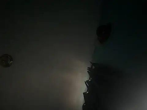 Snapshot of CcincoVilla chatting on 24, 2, 2026 CcincoVilla online show from 24, 2, 2026