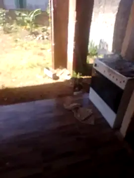 jhon Danda online show from 17, 1, 2026