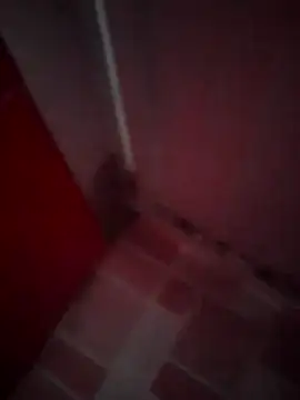 Cz Drax online show from 11, 2, 2026