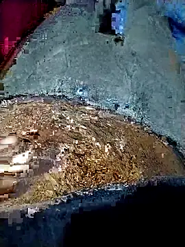 xx couple online show from 19, 1, 2026