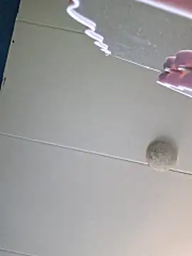 dewimp1 online show from 14, 4, 2026