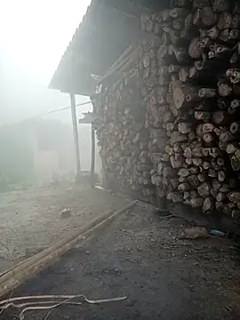 cutebobi online show from 23, 3, 2026