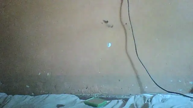 Snapshot of Sexyass100 chatting on 17, 4, 2026 Sexyass100 online show from 17, 4, 2026