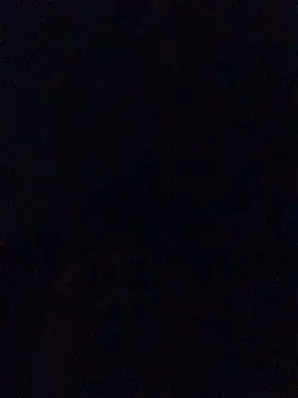 Snapshot of InstantPigweed chatting on 9, 4, 2026 InstantPigweed online show from 9, 4, 2026