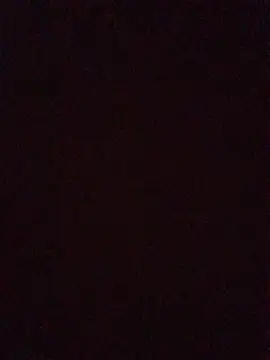 Snapshot of InstantPigweed chatting on 21, 4, 2026 InstantPigweed online show from 21, 4, 2026