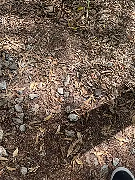 tyd247 online show from 22, 2, 2026