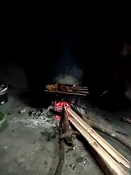 Hoa-tuylip online show from 16, 4, 2026