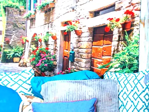 spicybarbie online show from 6, 2, 2026