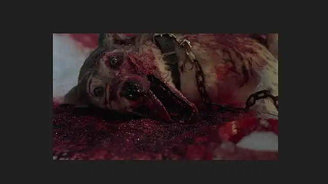 lil monikaa online show from 12, 4, 2026