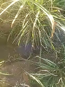 Snapshot of Cute_Boy_4 chatting on 27, 2, 2026 Cute Boy 4 online show from 27, 2, 2026