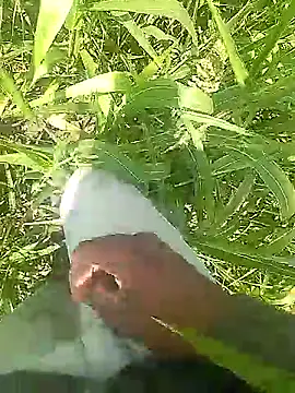 Cute Boy 4 online show from 31, 3, 2026