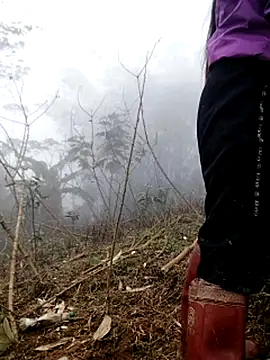 Tina-beo online show from 21, 3, 2026