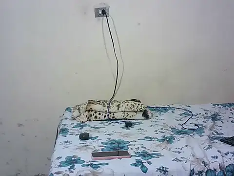 lorraine2036 online show from 16, 4, 2026