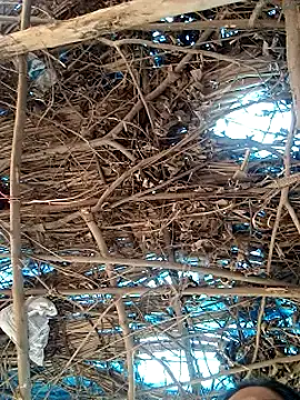 Snapshot of Rajni248096 chatting on 12, 3, 2026 Rajni248096 online show from 12, 3, 2026