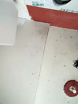 Snapshot of cynliu chatting on 14, 4, 2026 cynliu online show from 14, 4, 2026