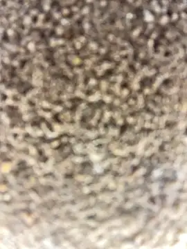 Snapshot of Namipeitudinha chatting on 16, 2, 2026 Namipeitudinha online show from 16, 2, 2026