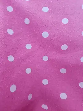 Snapshot of baipal74 chatting on 15, 2, 2026 baipal74 online show from 15, 2, 2026