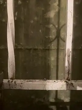 Snapshot of Diggaoder chatting on 21, 4, 2026 Diggaoder online show from 21, 4, 2026