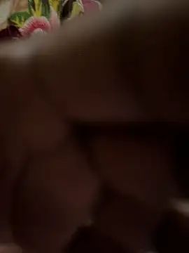 Snapshot of Pritu675 chatting on 15, 2, 2026 Pritu675 online show from 15, 2, 2026