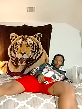 allenray2618 online show from 3, 2, 2026