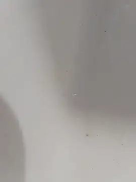 Snapshot of ONixCris chatting on 13, 3, 2026 ONixCris online show from 13, 3, 2026