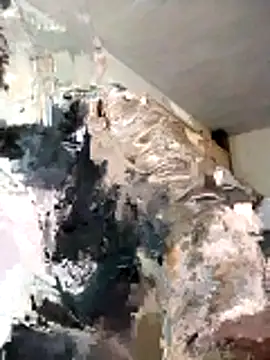 Snapshot of BoxedDitty chatting on 21, 2, 2026 BoxedDitty online show from 21, 2, 2026