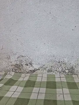 Snapshot of Mey_mey2k3 chatting on 18, 3, 2026 Mey mey2k3 online show from 18, 3, 2026