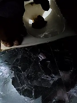 telugucoupless143 online show from 5, 4, 2026