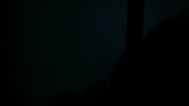 Snapshot of SussyFox chatting on 8, 3, 2026 SussyFox online show from 8, 3, 2026